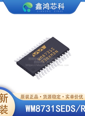 原装 WM8731SEDS/RV SSOP28 便携式音乐播放器 蓝牙音频接收器