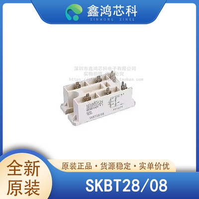 原装正品SKBT28/08MODULE