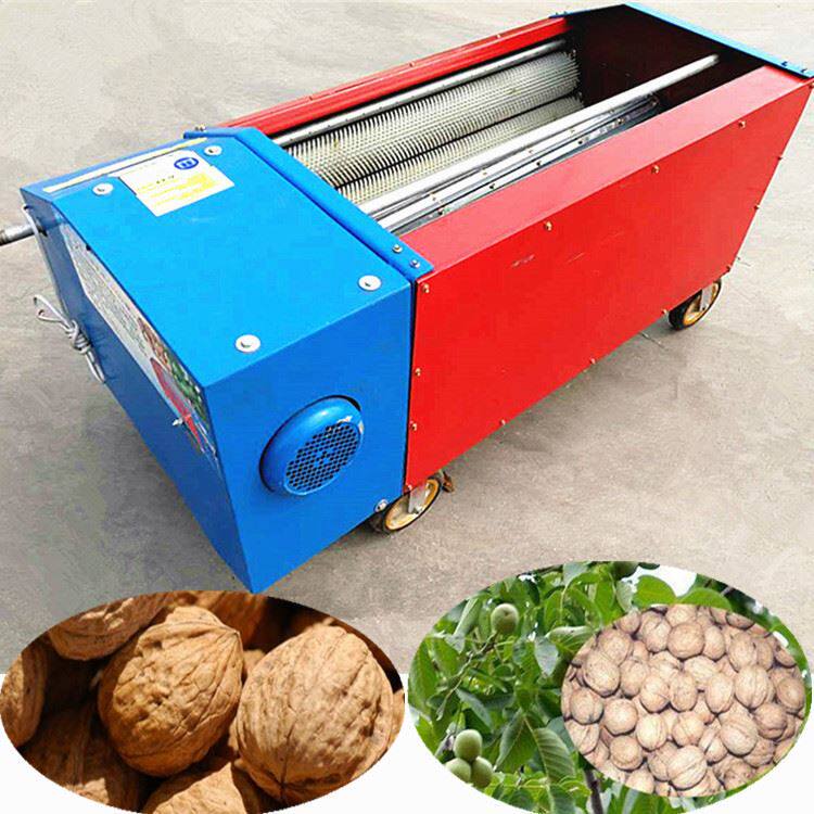 商用小型去核桃青皮机去皮清洗一体机农用全自动核桃剥皮机扒皮机