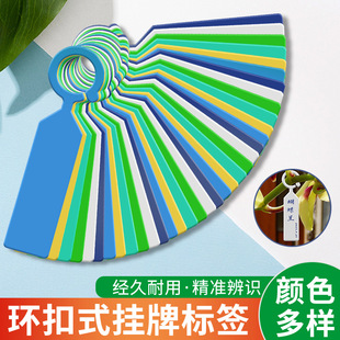 环套标签加厚塑料防水植物记号分类色卡悬挂式标记葡萄苗木花卉