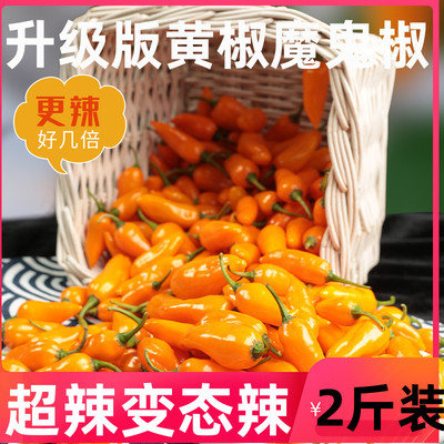 斤装新鲜超辣特香永安黄椒