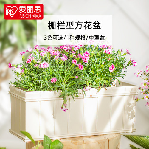 爱丽思大号塑料花槽方形花盆凸纹菜盆家庭阳台透气种菜花盆长条盆