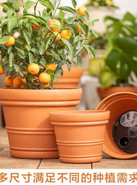 爱丽思IRIS凸纹圆形花盆阳台庭院果树种植爱丽丝大口径花盆仿陶瓷