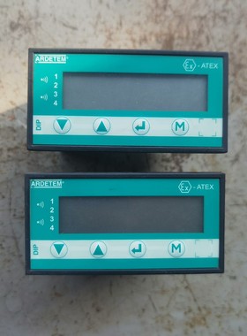 ARDETEM温度指示调节仪DIP SI 300 备件/咨询