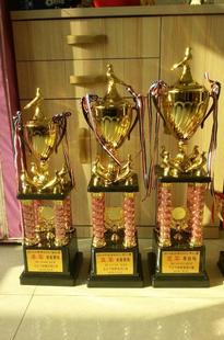 高档金属奖杯、鸽子赛鸽信鸽奖杯、比赛定做定制大奖杯年会公司团