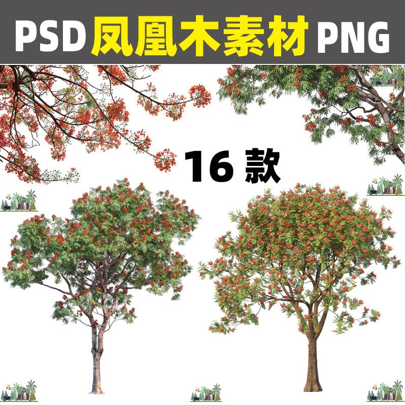 Z173园林高清PS凤凰木PNG免抠效果图后期PSD分层素材procreate