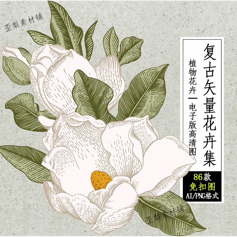 手绘古典烫金复古植物花卉花朵插画AI矢量设计PNG免抠图片素材