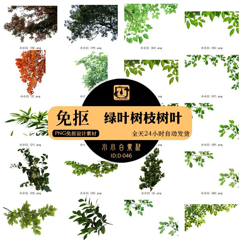 绿叶树枝树叶子人像前景照片后期叠加合成免抠PNG图片设计素材