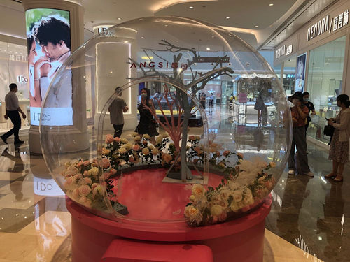 亚克力透明超大半球罩开