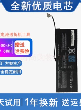 适用 技嘉GIGABYTE P34G GNC-J40 XMG P34W 961TA013 笔记本电池