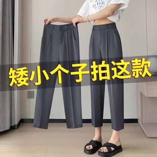 职业西装裤女夏薄款2026新款八分小个子高级感垂感九分哈伦裤灰色