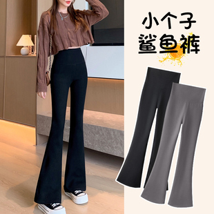 小个子微喇叭鲨鱼裤女春秋季2025新款高腰显瘦马蹄裤垂坠感瑜伽裤