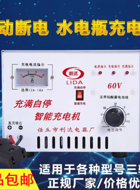 电动三轮车充电机水电瓶蓄电池组48v60v72v纯铜大功率快速充电器
