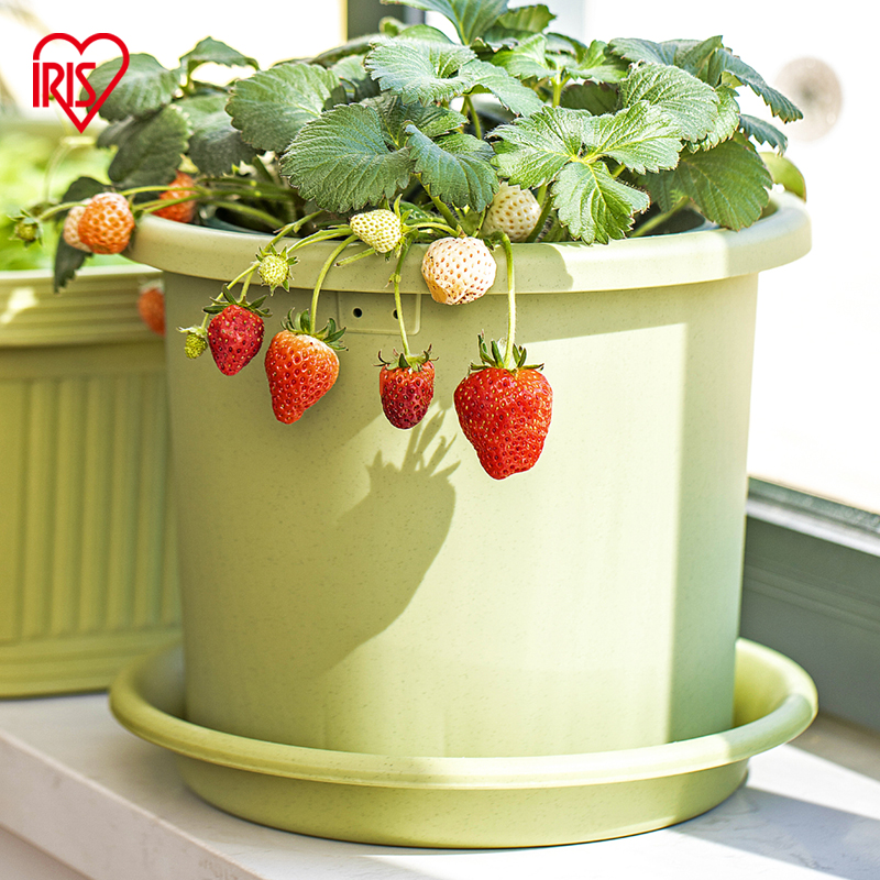 爱丽思园艺家庭阳台植物种植塑料