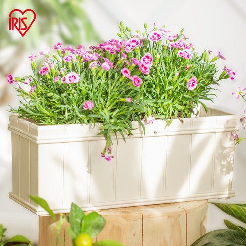 百搭简约 厚实耐用