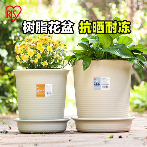 爱丽思塑料盆加厚树脂创意多肉