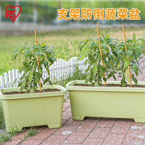 IRISIRIS 园艺用品家庭菜园种菜深型种植盆 长方形塑料蔬菜盆