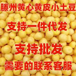 山东滕州正宗新鲜土豆马铃薯小土豆迷你黄心黄皮农家自种现挖洋芋