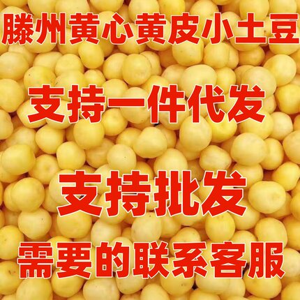 山东滕州正宗新鲜土豆马铃薯小土豆迷你黄心黄皮农家自种现挖洋芋