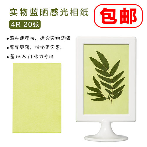 蓝晒纸diy儿童手工手帐相纸