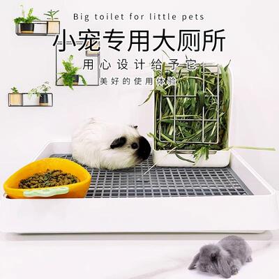 兔子超大号厕所龙猫荷兰猪尿便盆