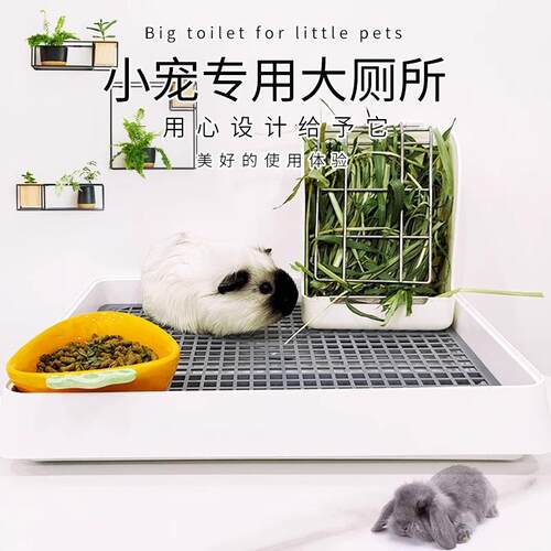 兔子超大号厕所龙猫荷兰猪尿便盆