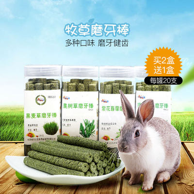 赫尔达荷兰猪兔子豚鼠磨牙草棒