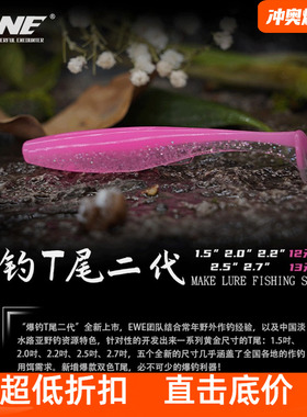 22新款EWE美夏二代爆钓t尾路亚软饵铅头钩软饵虫无铅微物根钓假饵
