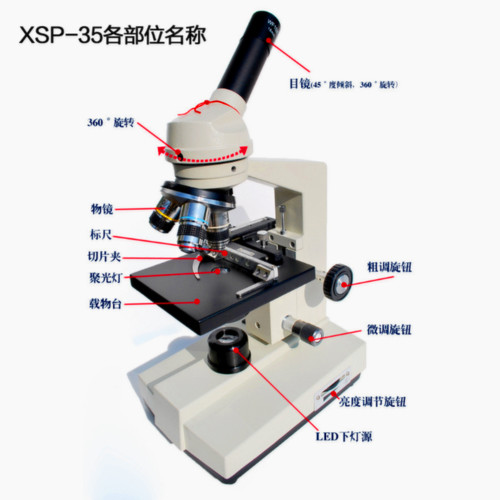 凤凰江西专业高倍双层显微镜
