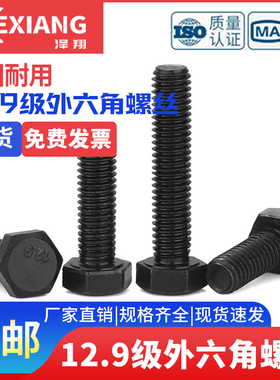 螺丝外六角全螺纹60x80x100x120x150x200x300M27级全牙12.9螺栓*