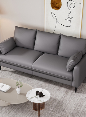 小户型科技布沙发双人小型客厅米2024新款三人位出租房用皮家用屋