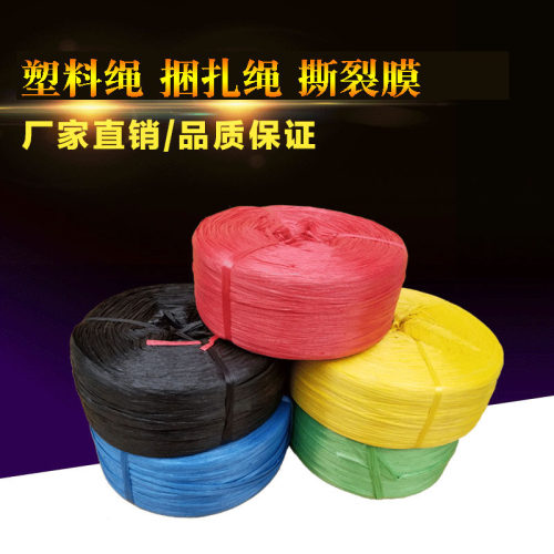 撕裂膜塑料捆扎绳打包捆绑绳