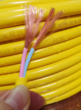 国标铜芯电线防水防冻灰黄色护套线RVV2芯0.75 1.5 2.5平方软电缆