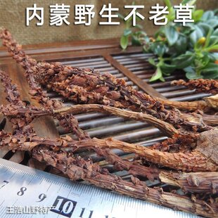 东北野生不老草泡酒料草苁蓉每颗6元正品保证热卖产地直销