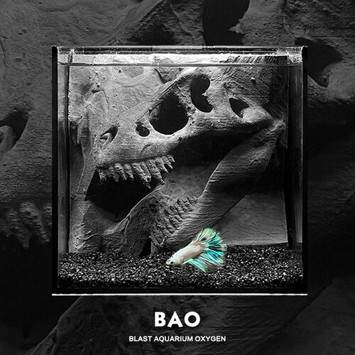 BAO爆氧森林 霸王龙斗鱼缸专用恐龙化石造景一体超白玻璃背滤aqua