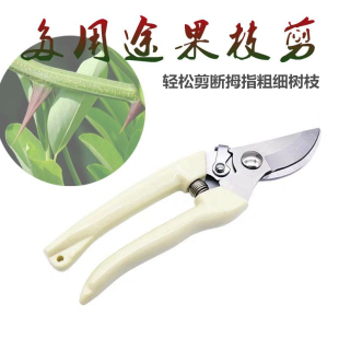 包邮 幼儿园手工制作森系树枝剪修花剪苹果剪粗剪弯刀轻松剪装 饰