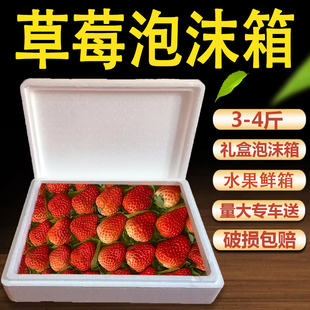 草莓水果泡沫箱快递专用矮扁平泡沫保温箱泡沫包装快递食品包装盒