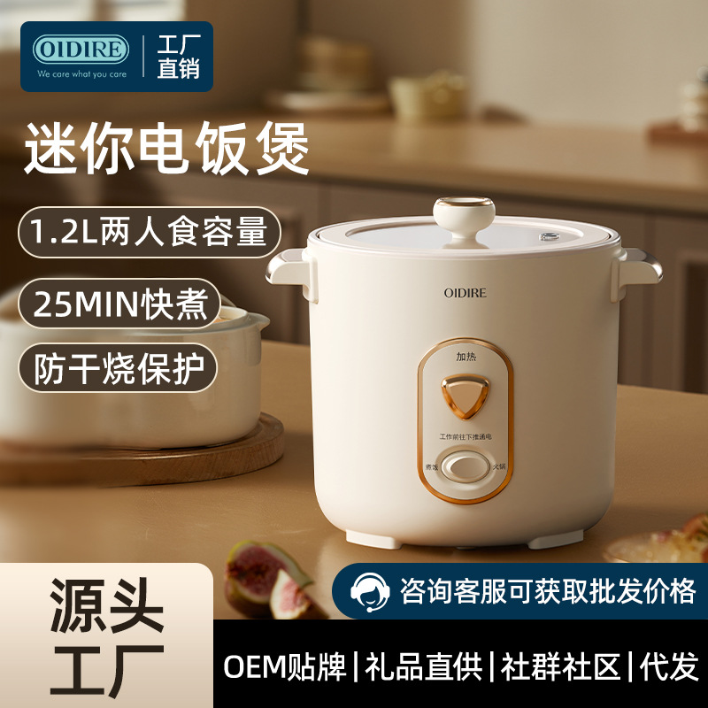 oidire多功能迷你电饭煲1-4人适用轻油少烟不粘好洗快速