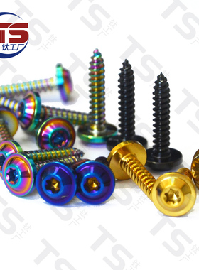 TS 钛合金自攻丝M5/M4/M6X10mm-35mm）摩托车改装炫酷碟头板牙螺