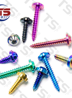 TS 钛合金自攻丝M4/M5/M6X10mm-35mm摩托车改装炫酷碟头板牙螺