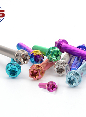 TS摩托电动车内外梅花头磨砂色 M6X10—60mm钛合金螺丝 TC4