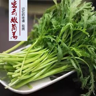 【香蒿  嫩蒿子秆 茼蒿】密云农家菜园香蒿子   纯绿色食品  400g