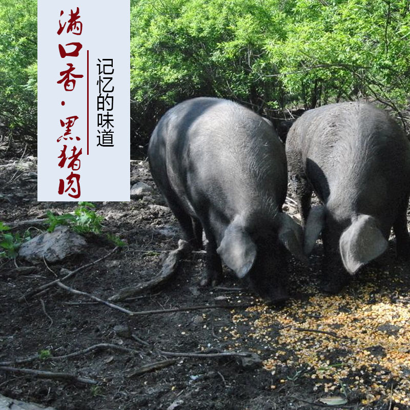 跑山黑猪肉-500天野外放养 不喂饲料 一周至少宰杀两次 默认顺丰