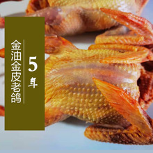 【5-10年老鸽4只装】老柴鸽子肉土鸽飞鸽带脚环发货顺丰发货
