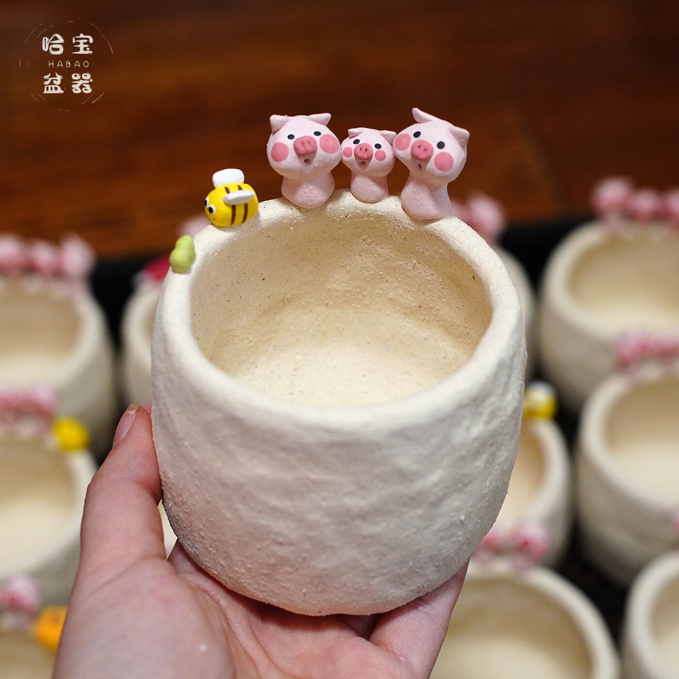 哈宝丨手捏粗陶猪猪盆三只小猪多肉pp肉锥花盆透气控根一物一拍