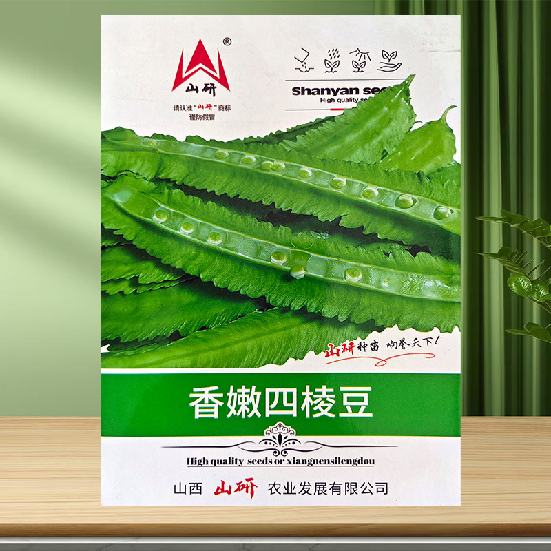 四棱豆种子四棱豆苗四角豆籽皇帝豆香龙豆四季盆栽蔬菜阳台种植