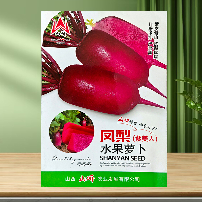 胭脂红皮萝卜种子白芯红心蔬菜孑