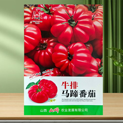 蔬菜盆栽草莓千禧种子矮生番茄