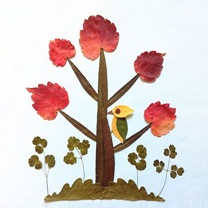 树叶粘贴画小学生植物标本diy相框画幼儿园手工树叶拼贴画材料包