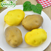 高仿真土豆模型泡沫假土豆蔬菜水果道具摄影影视儿童早教橱柜装 饰